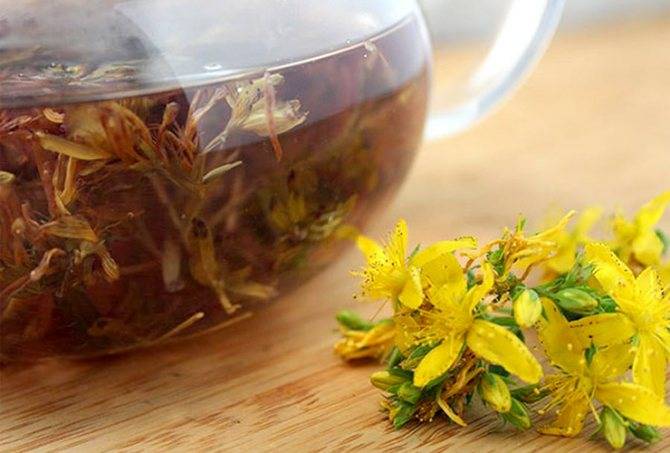 Чай из крапива лечебные свойства и противопоказания