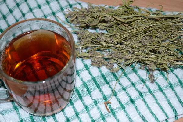Как правильно сушить мяту перечную в домашних условиях, также для чая: можно ли в духовке и микроволновке, когда нужно собирать листья и стебли, как хранить?
