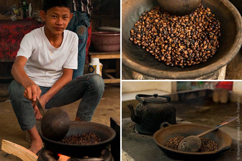 Кофе лювак – настоящее вьетнамское сокровище или очередной трюк