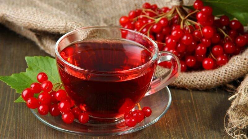 Чай с калиной: польза и вред, как заваривать от простуды