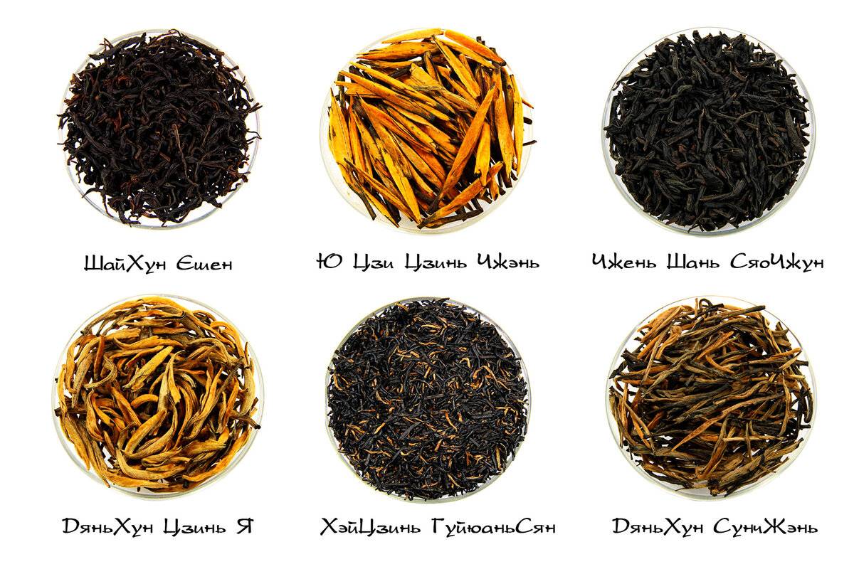 ☕какой чай самый лучший: обзор лучших сортов зеленого и черного чая