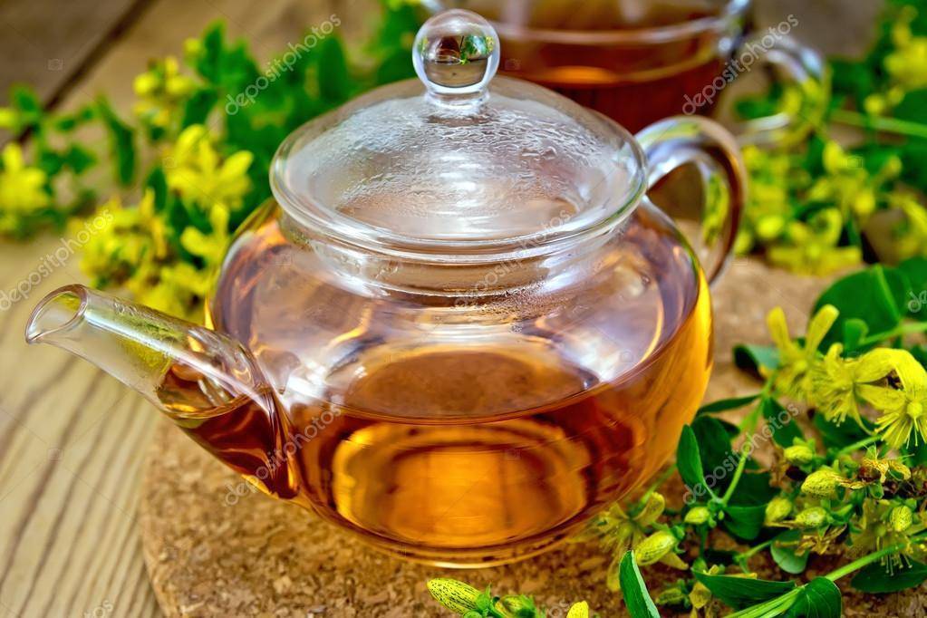 Чай из зверобоя польза и вред как заваривать и пить - здоровье и долголетие