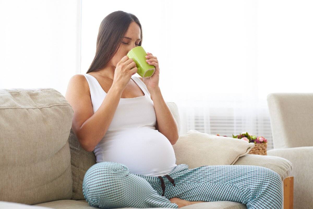 Можно ли пить зеленый чай при беременности — беременность. беременность по неделям.
