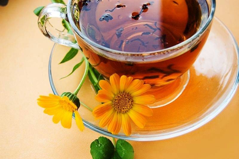 Чай с календулой и экстракт: польза и вред для здоровья