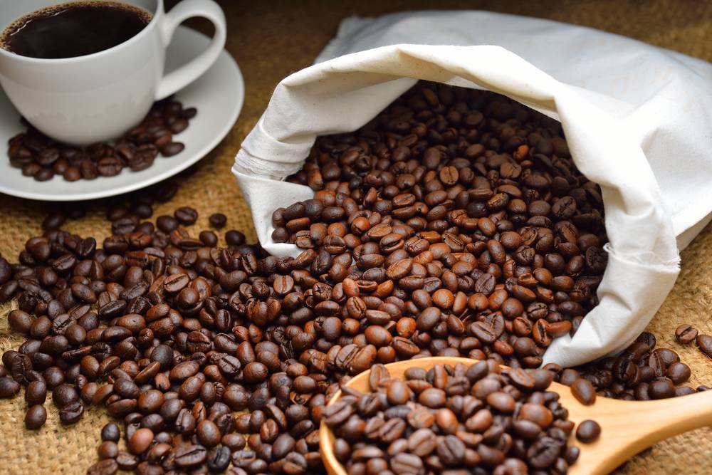 Можно ли жевать кофейные зерна и как это делали древние люди в эфиопии. добавки зерен в шоколад – влияние на организм
