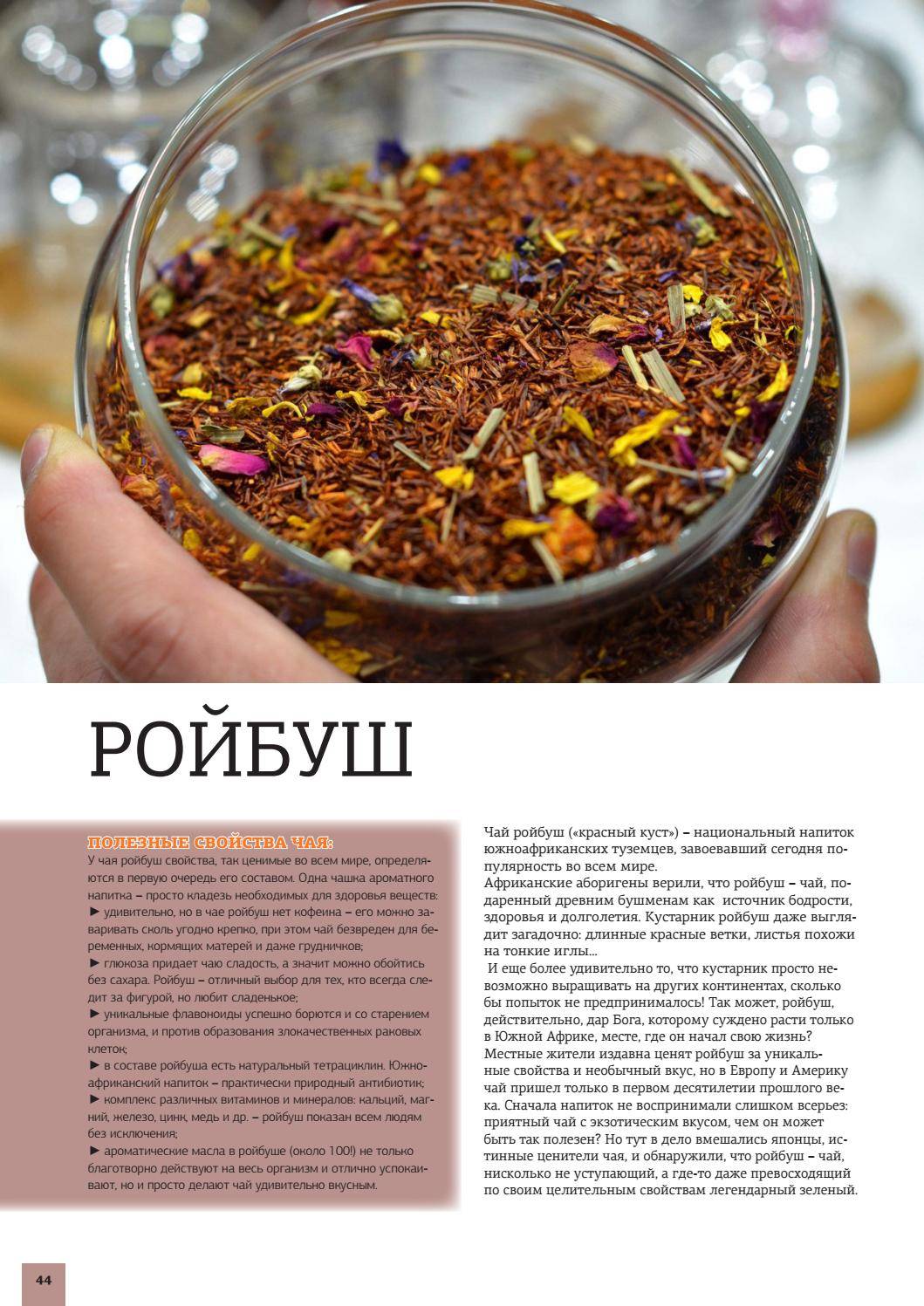 Чай ройбуш: польза и вред, состав, свойства для похудения