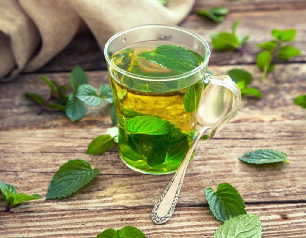 Чай с мятой: польза и вред для организма