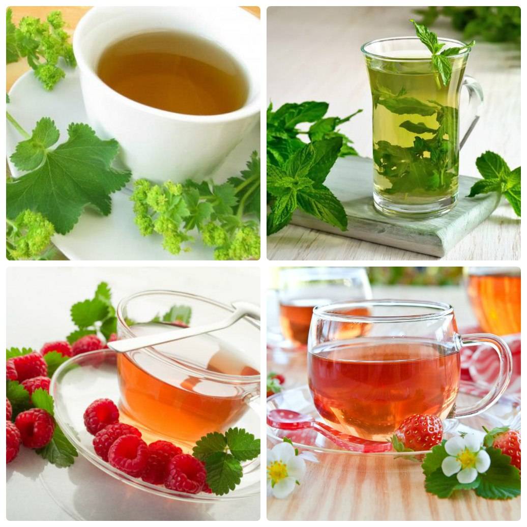 Чай от простуды для детей – 17 простых рецептов