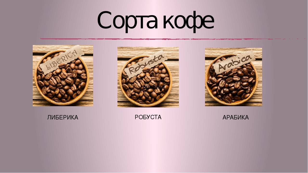 Кофе либерийский — википедия. что такое кофе либерийский