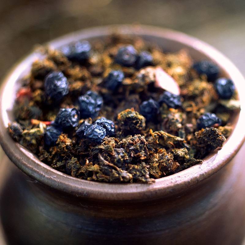 Чай из веток черники. противопоказания к употреблению листьев черники. как заваривать чай из черники