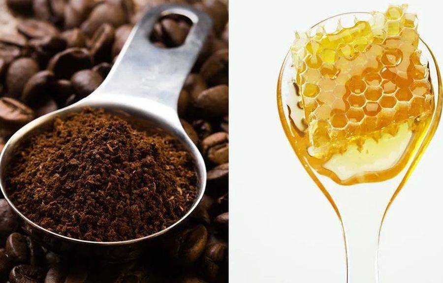 Кофе с медом: рецепты хорошего самочувствия