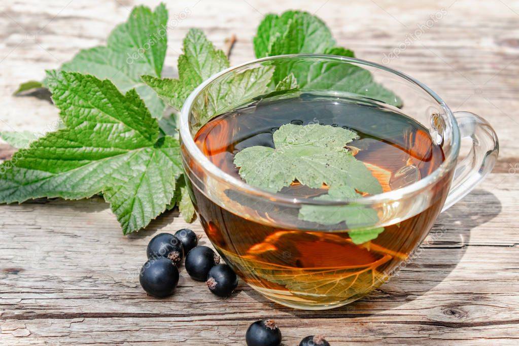 Чай из листьев смородины: польза и вред, рецепты, как правильно заготовить сырье