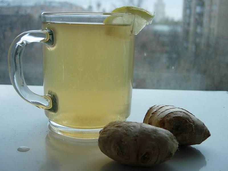 Имбирный чай: как заваривать с лимоном и медом, травами, фруктами
