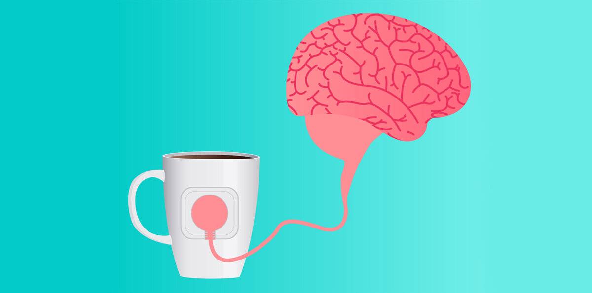 Влияние кофе на сосуды: сужает или расширяет, действие на сосуды головного мозга и другие артерии и вены
