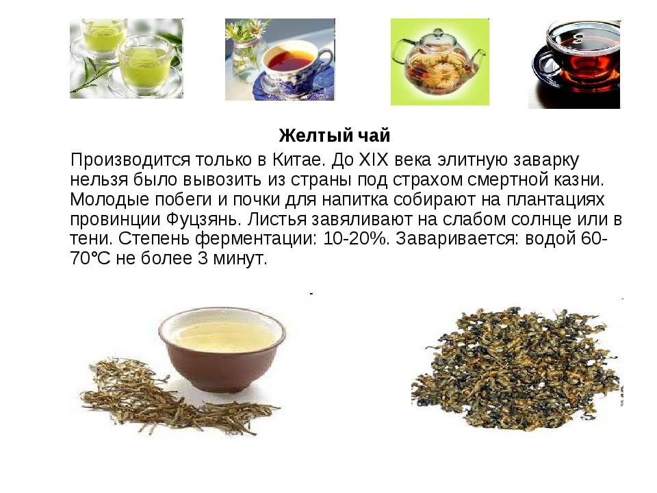 Полезные свойства и особенности приготовления египетского желтого чая