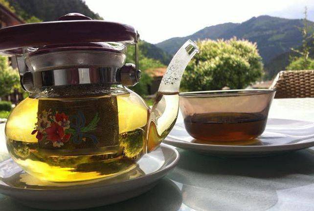 Мурсальский чай: подарок природы из болгарии