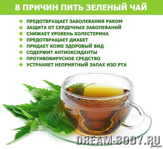 Польза и вред зеленого чая