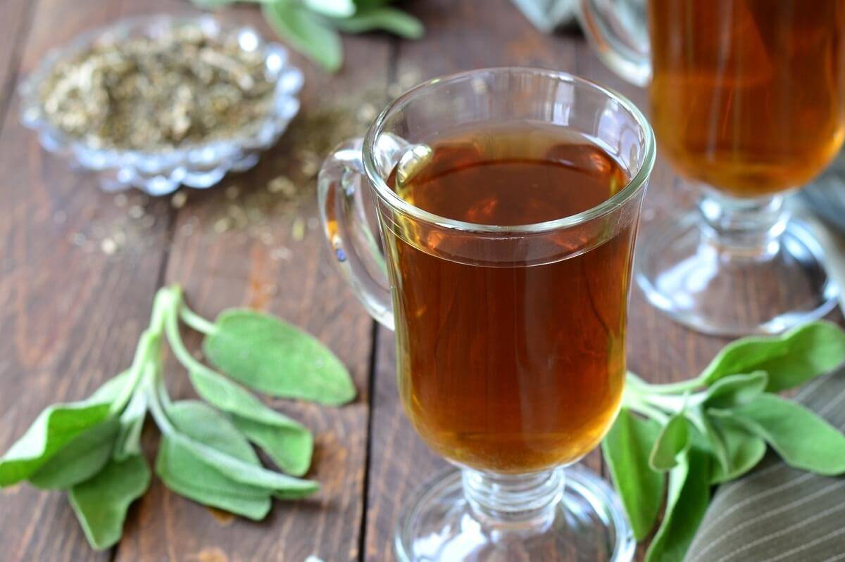 Шалфей и чай из шалфея — польза и возможный вред | польза и вред