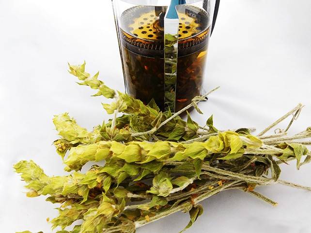 Мурсальский чай: как заваривать, полезные свойства