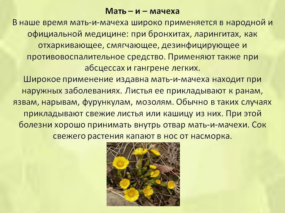 Мать и мачеха презентация 2 класс