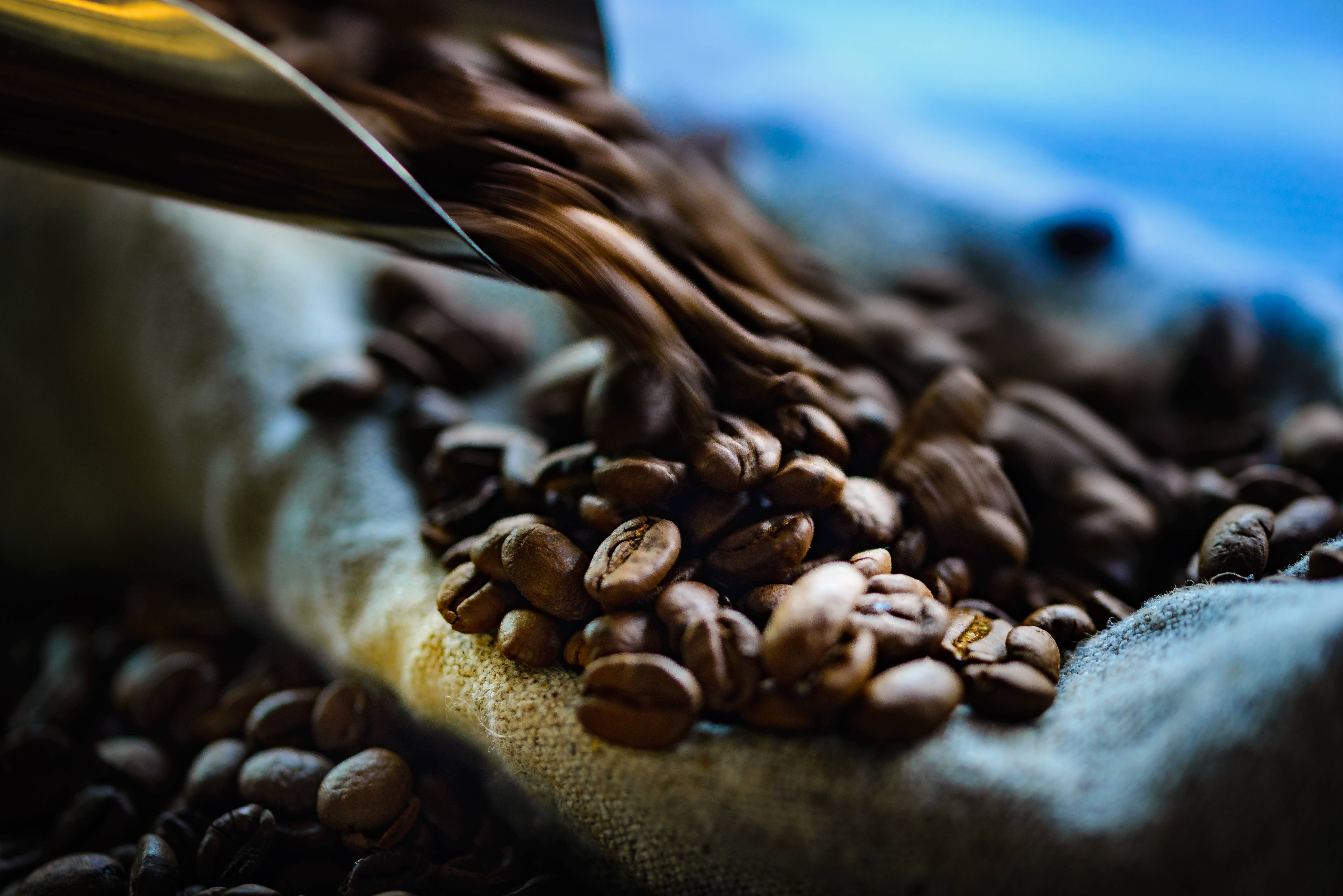 Бесплатная загрузка | кофе в зернах пищевой зерновой coffea sticker, кофе, автомобиль, цвет, кофе png | klipartz