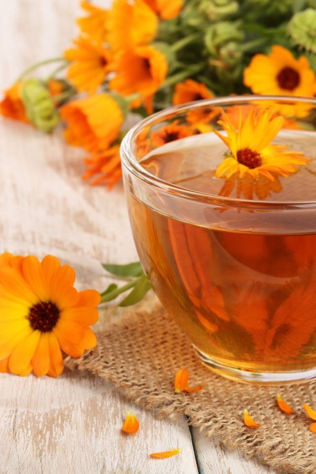 Календула: как заварить, полезные свойства чая