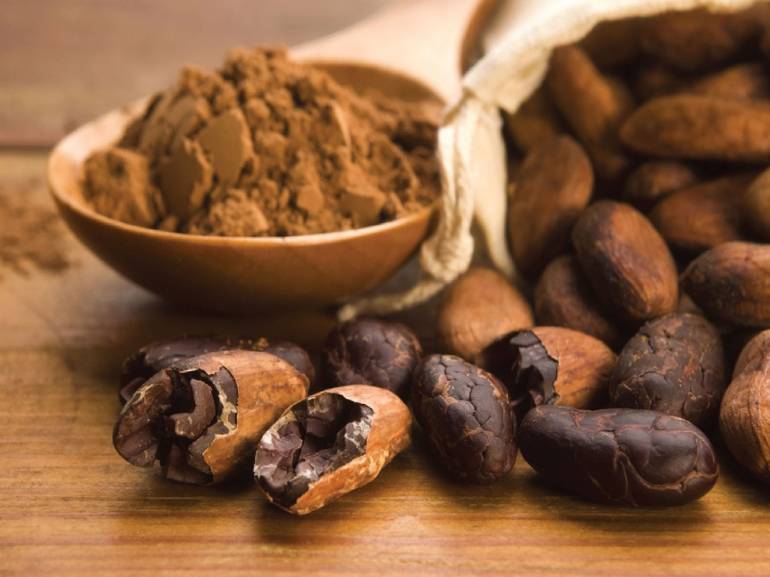 Какао порошок - польза и вред для здоровья, калорийность, противопоказания, видео