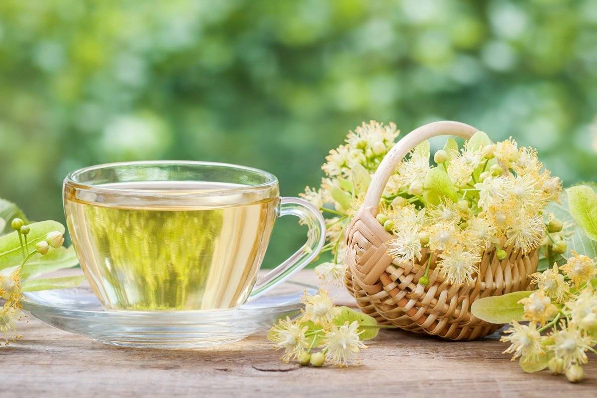 Как правильно заваривать липу: рецепт липового чая | блог о красоте и здоровье