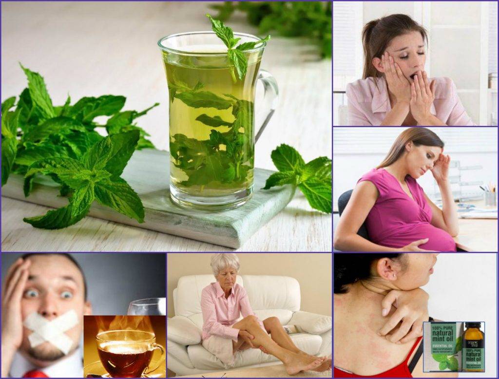 Польза и вред чая с мятой для женщин, особенности применения