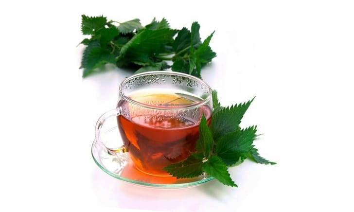 Чай из листьев крапивы: польза и вред для мужчин и женщин, лечебные свойства и противопоказания