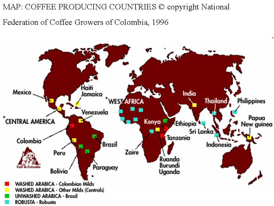 Где растет кофе: в каких странах выращивают, растет ли он в италии
