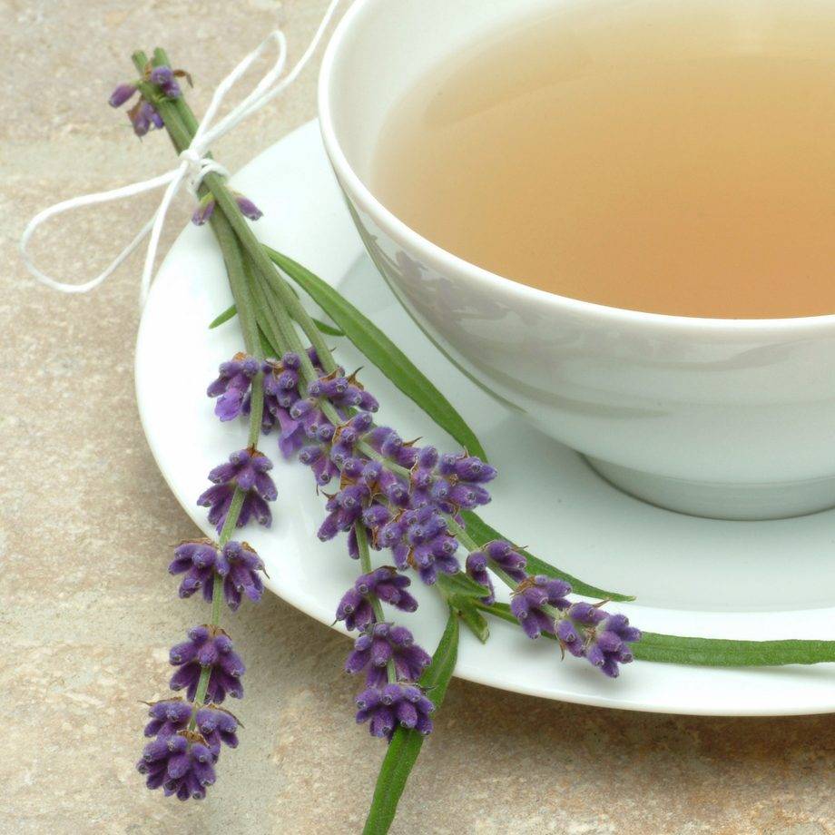 Чай с лавандой - польза и вред для организма
