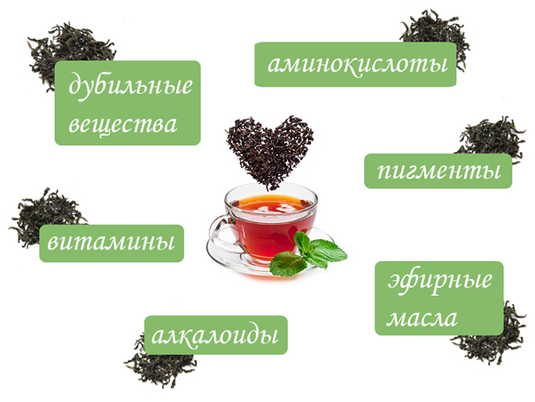 В черном или зеленом чае больше кофеина - описание
