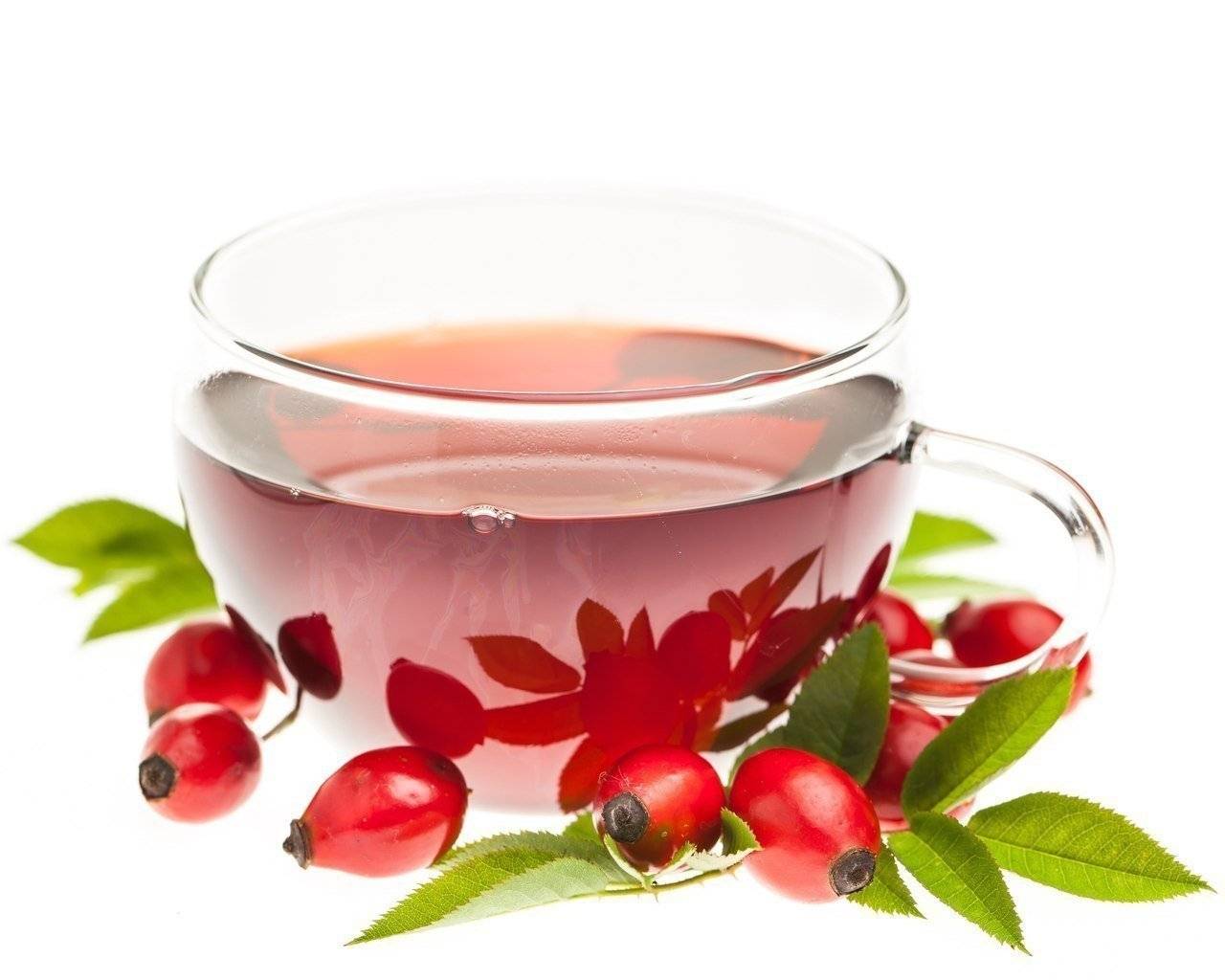 Чай из плодов, цветов шиповника: польза и вред, рецепт, как правильно заваривать