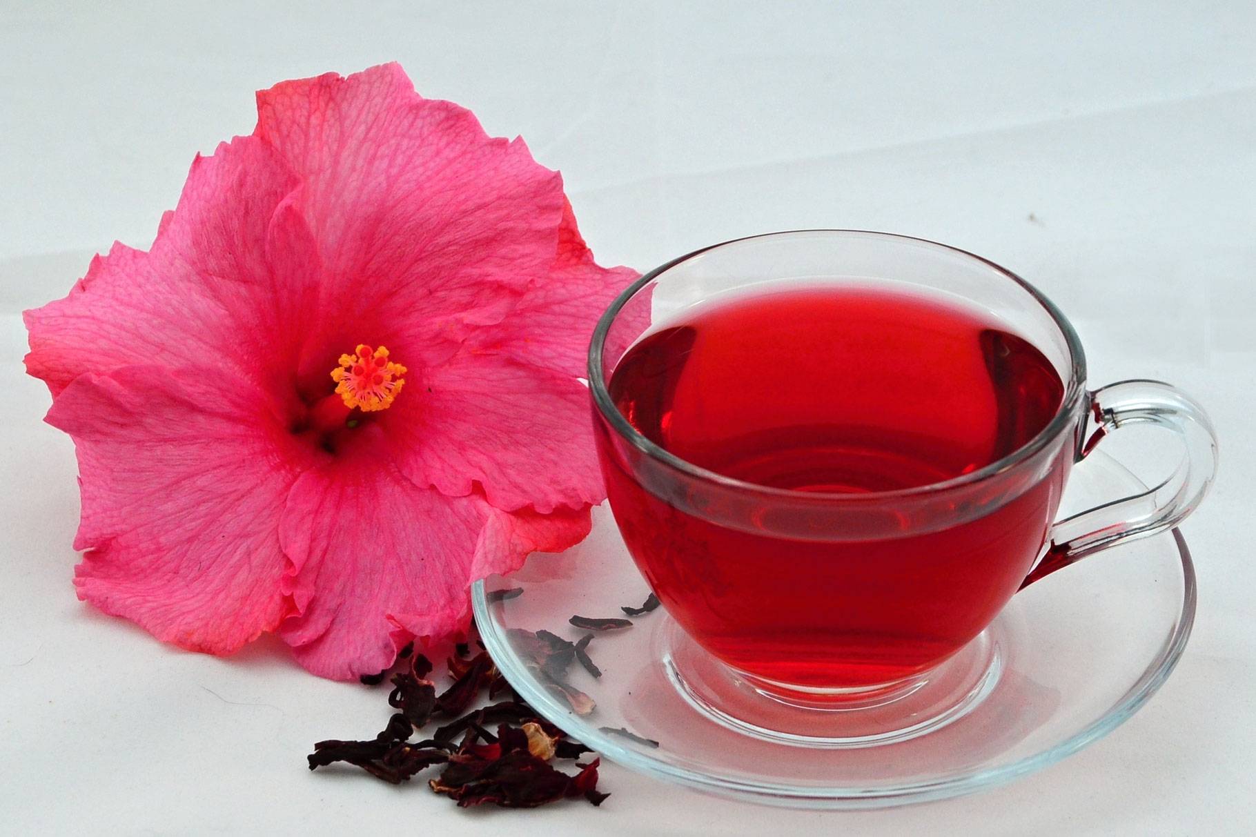 Чай из цветов гибискуса: полезные свойства и вред selo.guru — интернет портал о сельском хозяйстве