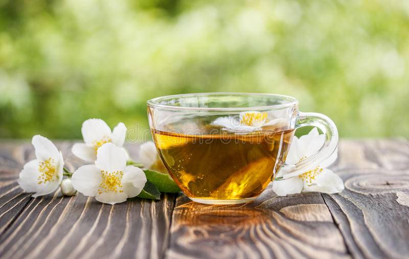 9 полезных качеств зеленого чая с жасмином для выздоровления: свойства, как заваривать из листьев и цветков, как правильно пить, вред и противопоказания к употреблению