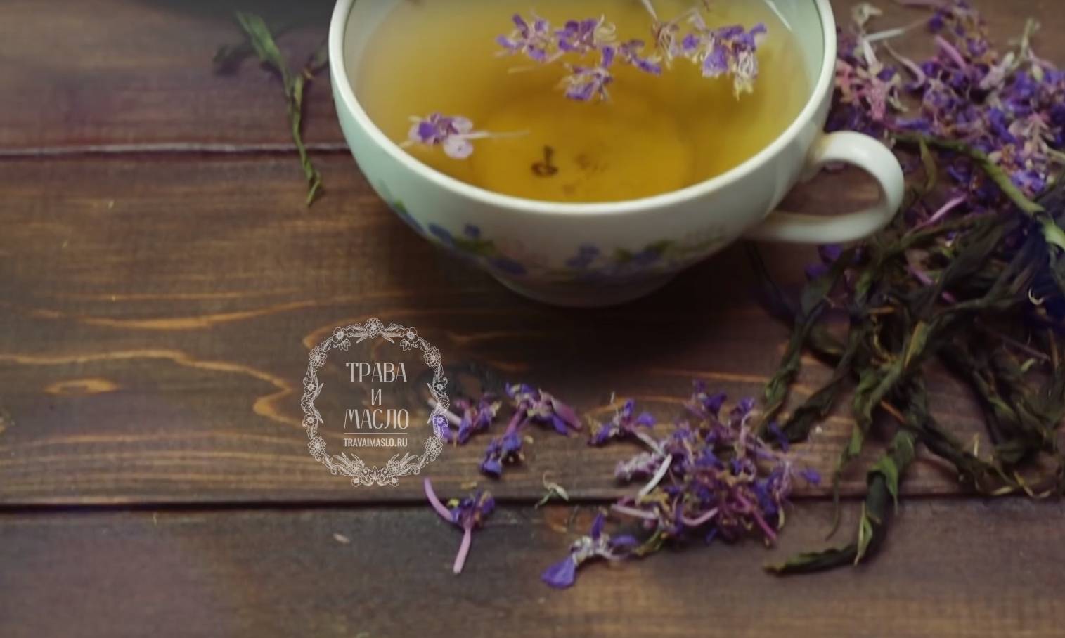 Чай кипрей: приготовление, ферментация, полезные свойства чая из кипрея
