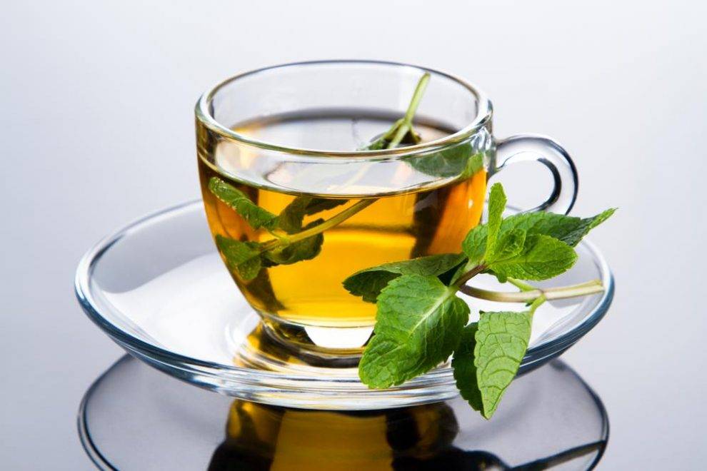 Польза и вред чая с мятой для женщин, особенности применения