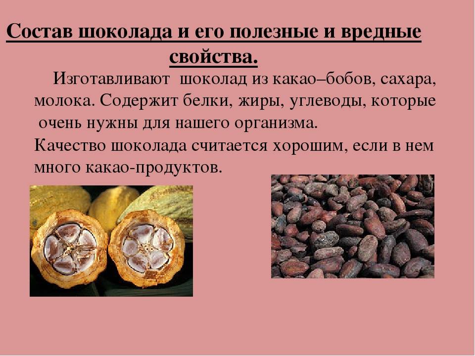 Какао порошок – польза и вред для здоровья: 13 полезных свойств и противопоказания