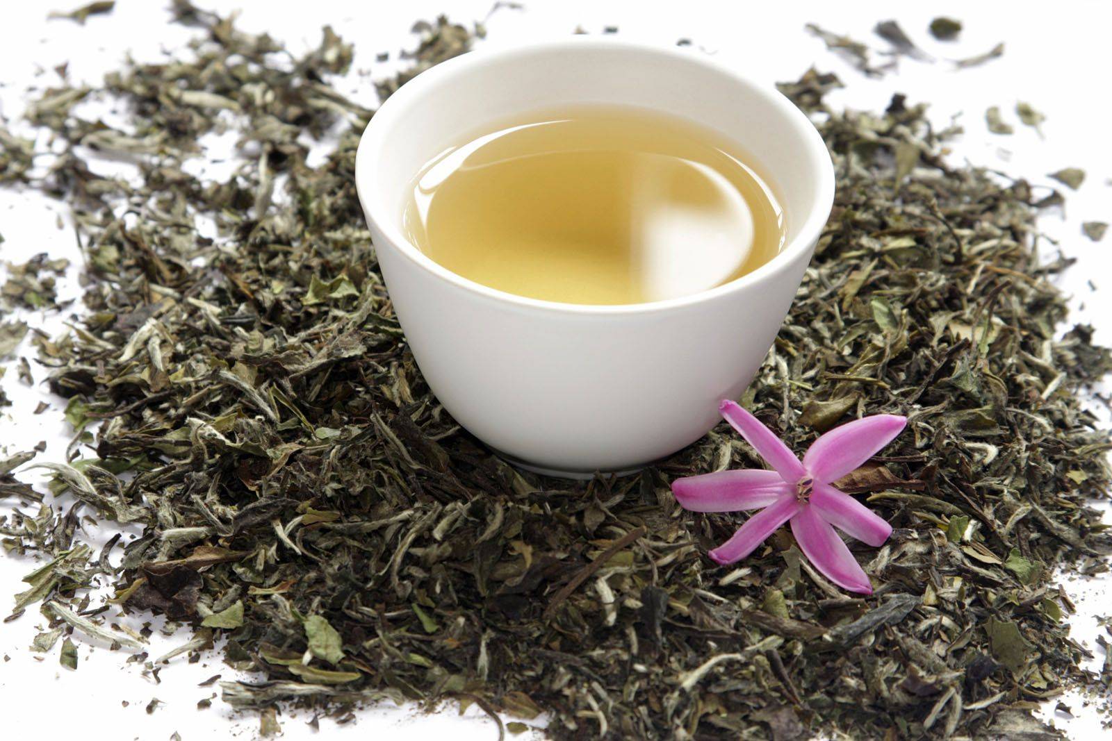 Белый чай – состав, польза, правила заваривания и хранения