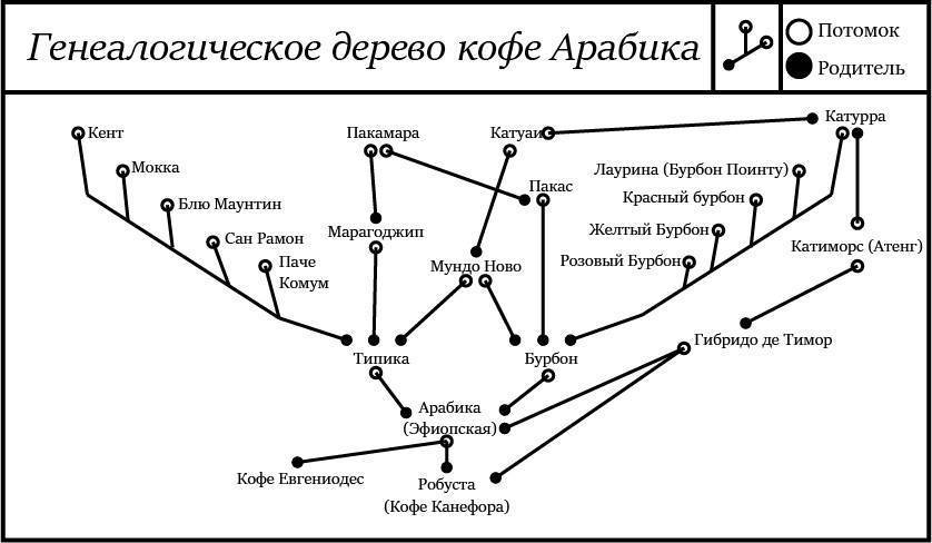 Бурбон по красной схеме