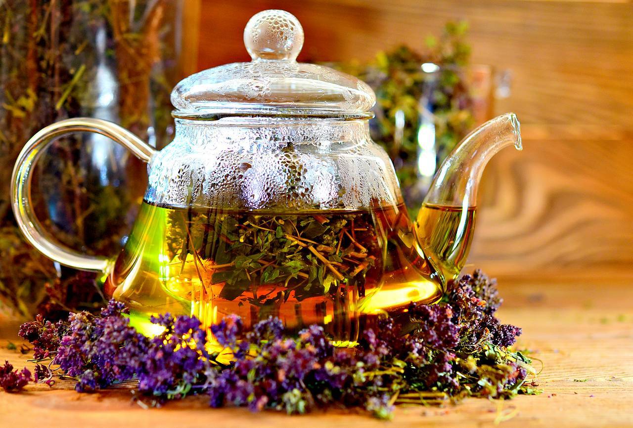 Чай с душицей - польза и вред для женщин и мужчин