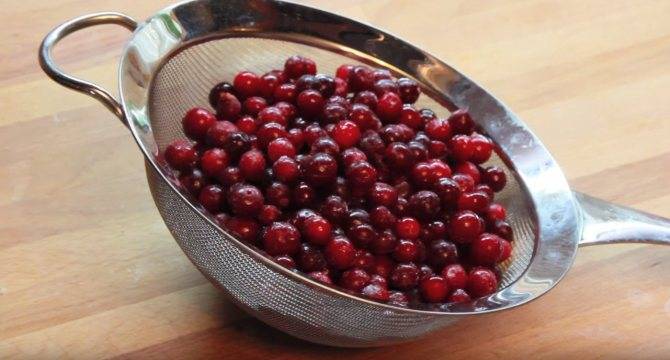 Клюквенный морс: рецепт из замороженных и свежих ягод