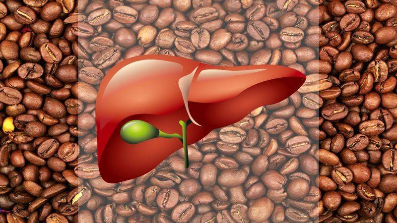 Влияние кофе на печень - польза и вред напитка для железы