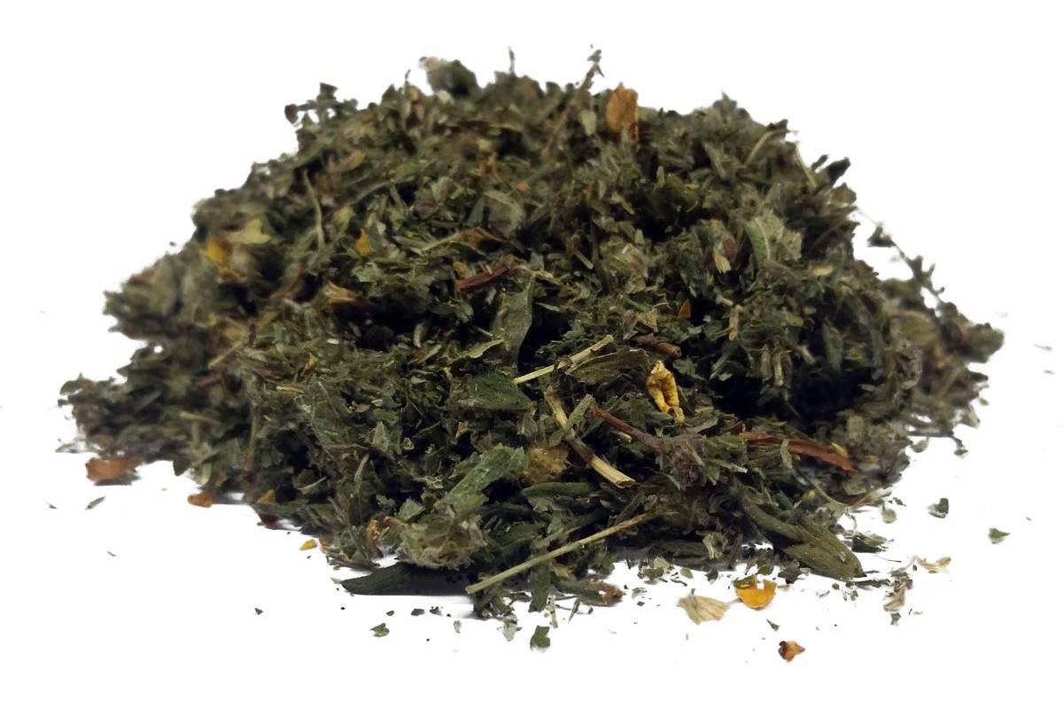 Курильский чай кустарниковый: посадка и уход, лечебные свойства, противопоказания