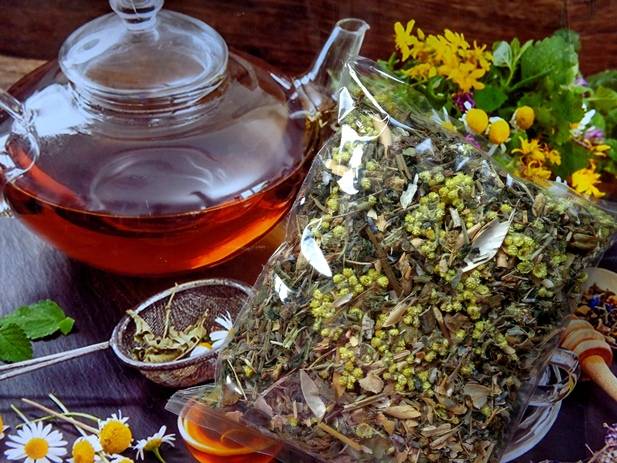 Зеленый чай с бессмертником: рецепты