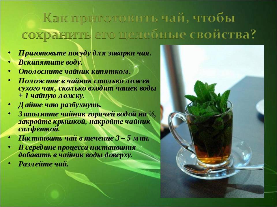 Зеленый чай - польза и вред для организма мужчины и женщины