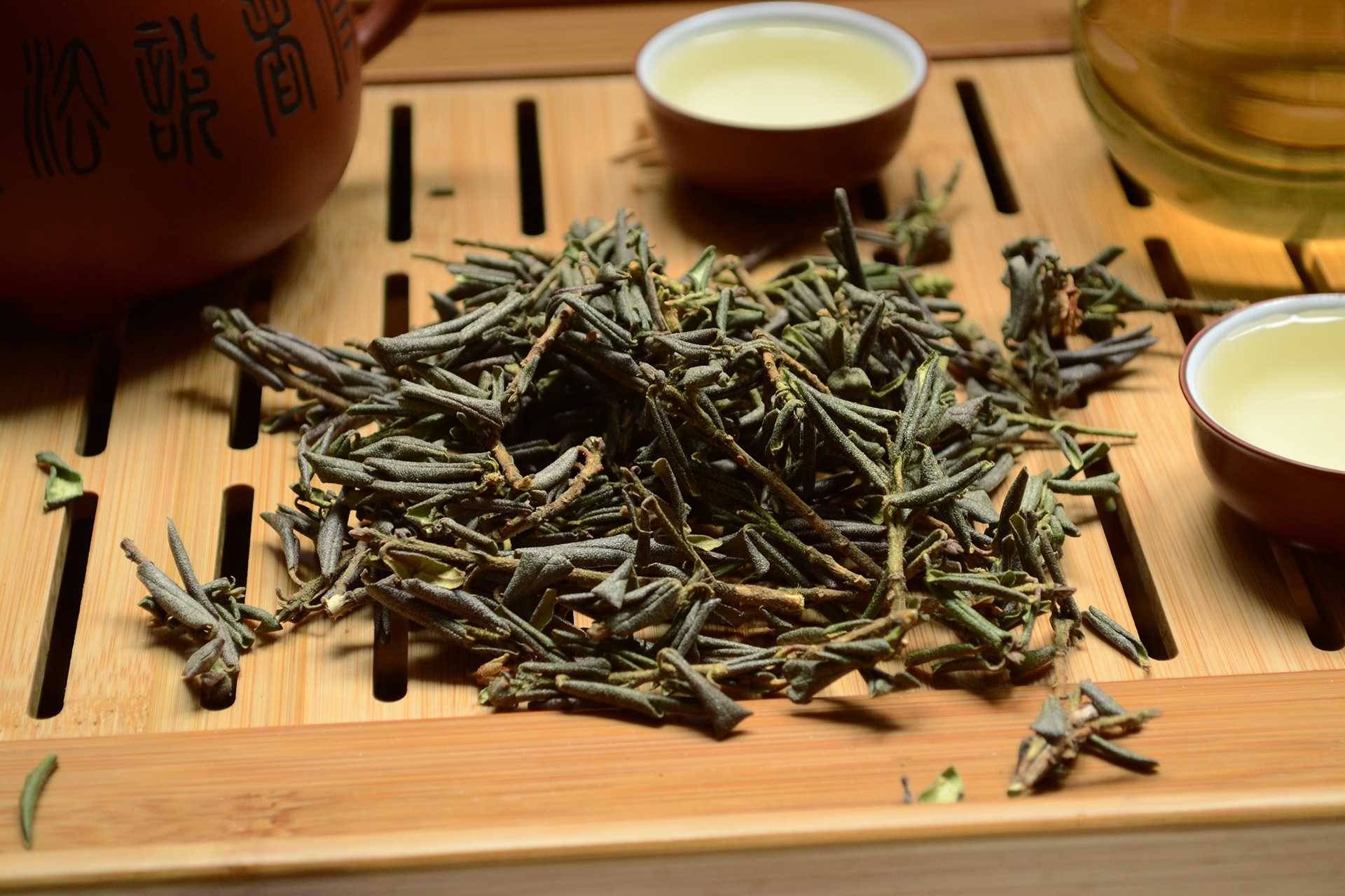 Чай саган-дайля (рододендрон адамса): свойства и противопоказания
