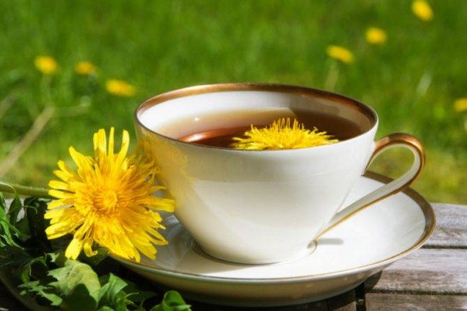 Полезные свойства и рецепты чая из одуванчика