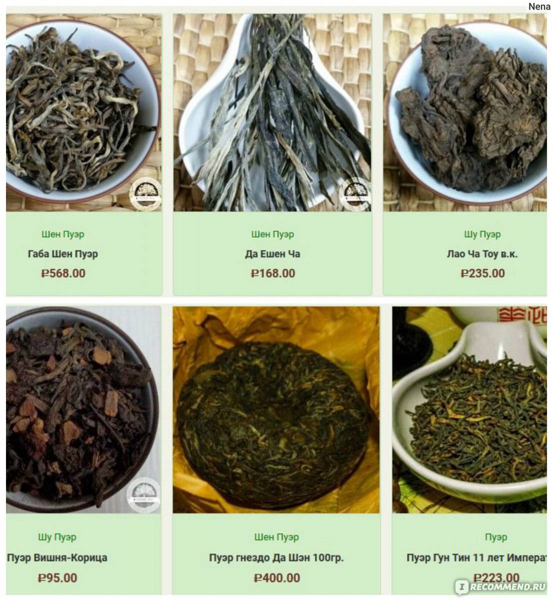 Чай байховый, его история и виды. 5 популярных видов байхового чая